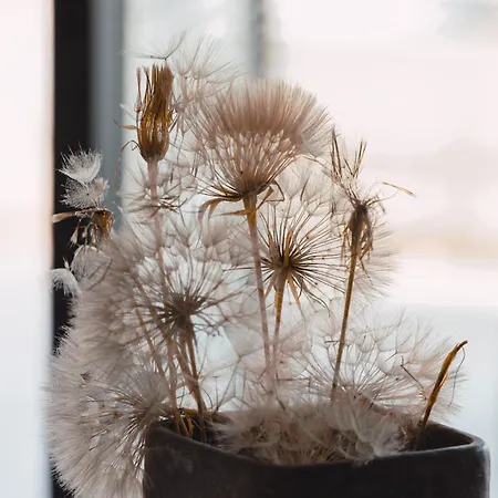 Apartment Buahjar Boutique Agrigento